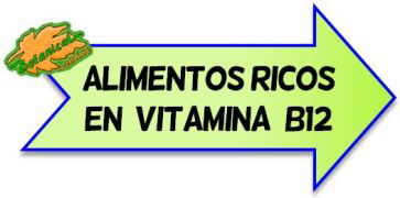 alimentos ricos en b12