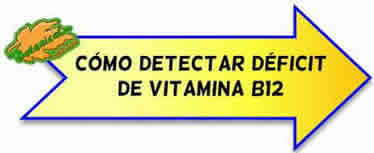 deficit b12 sintomas