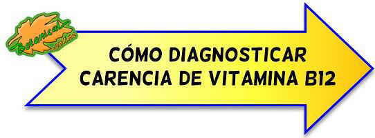 diagnostico deficit vitamina b12