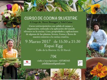 curso plantas silvestres comestibles en barcelona yelel cañas meret bissenger