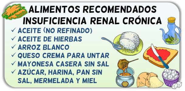 alimentos recomendados insuficiencia renal cronica IRC severa