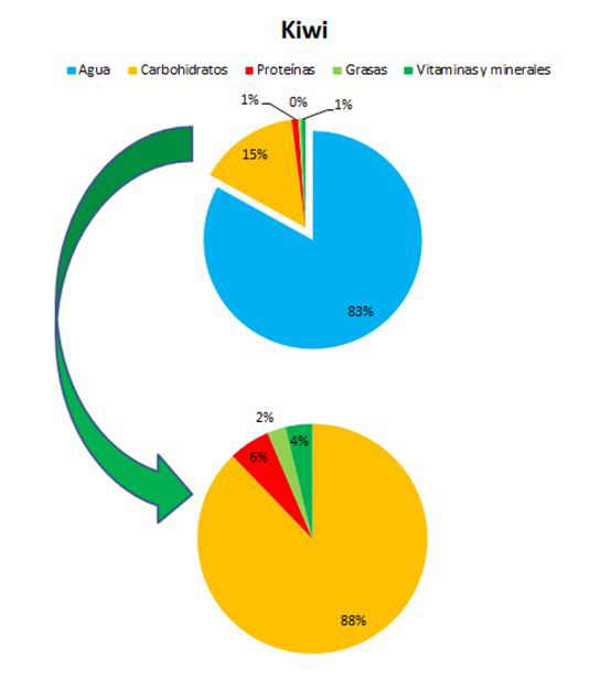 composicion del kiwi