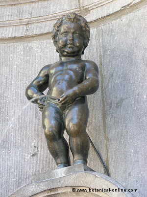 Manneken_Pis