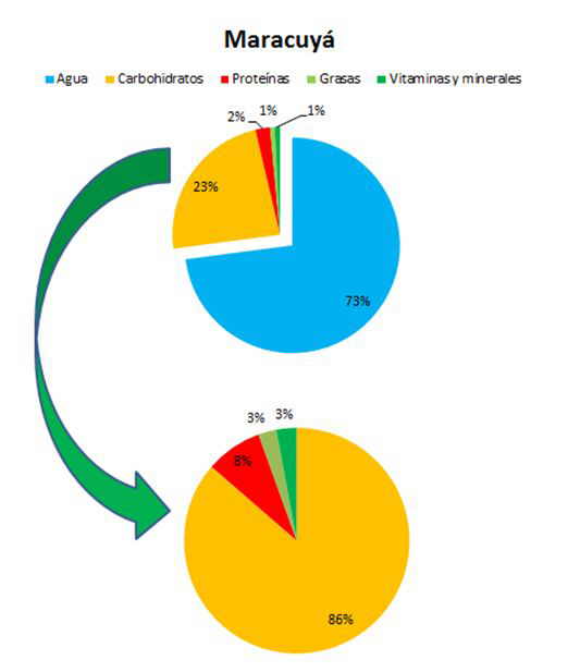 composicion del maracuya