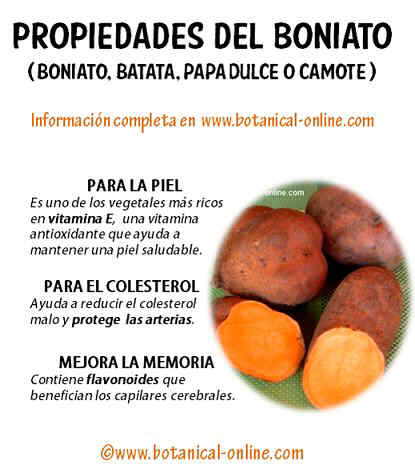 Propiedades boniato