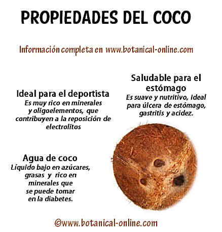 Propiedades del coco