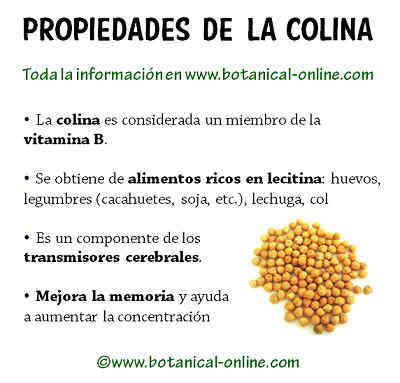 Propiedades de la colina