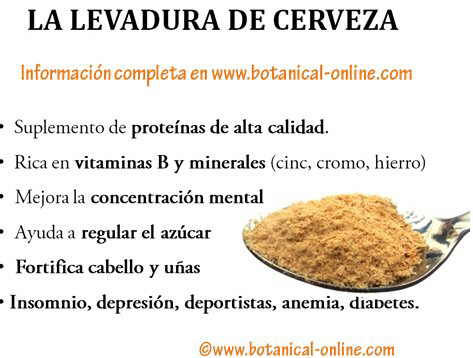 Qué es la levadura nutricional y qué aporta?