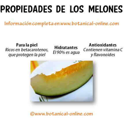 Propiedades melones