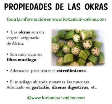 Propiedades de la okra