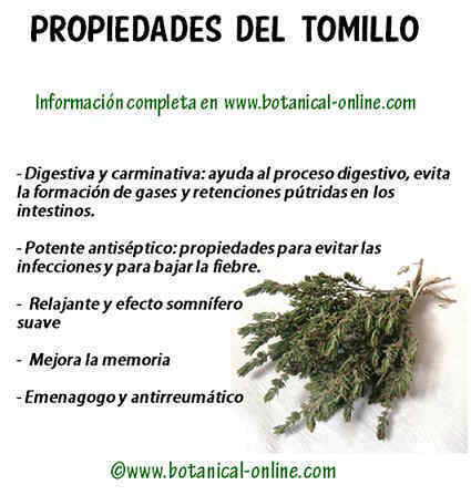 Beneficios del tomillo