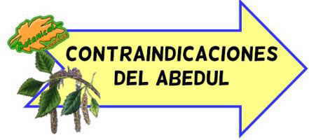 contraindicaciones abedul