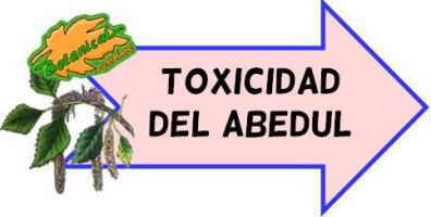 toxicidad del abedul