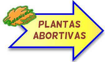 plantas abortivas