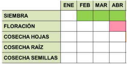 Calendario de cultivo de la acedera