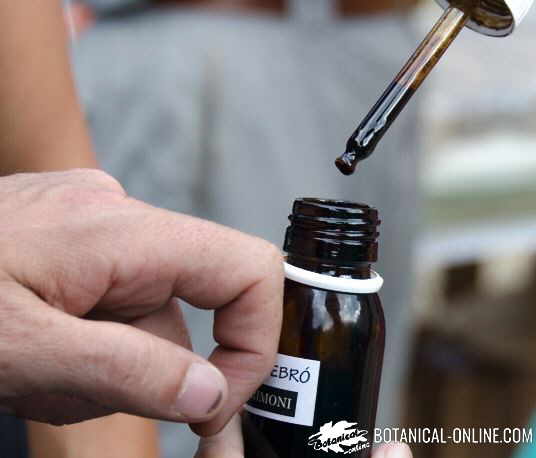 aplicar aceite de cade brea de enebro madera oli de ginebro sobre la piel unas gotas como remedio