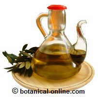 Aceite de oliva virgen extra en la aceitera con una rama de olivo