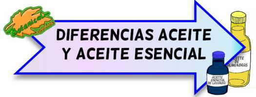 diferencias aceite y aceite esencial