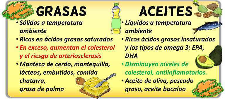 diferencias aceites de origen animal y grasas animales caracteristicas propiedades