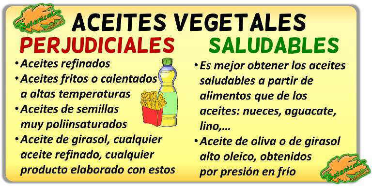 diferencias aceites vegetales buenos malos perjudiciales propiedades beneficios perjudiciales