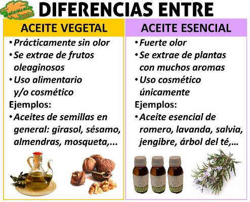 Diferencias entre aceite esencial y esencia aromática: descúbrelas aquí