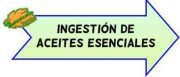 ingestion aceites esenciales