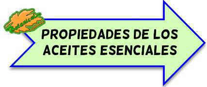 propiedades aceites esenciales