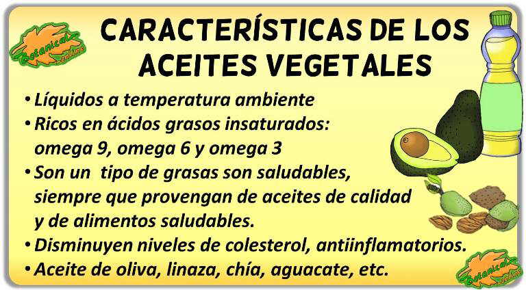 aceites de origen vegetal caracteristicas propiedades beneficios