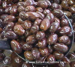 aceitunas aragon