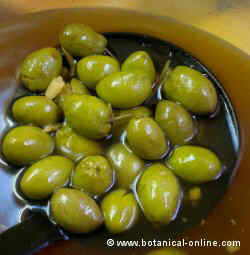 aceitunas caspe