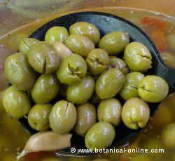 Aceitunas Jaen partida