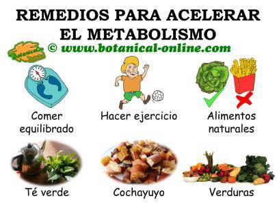 Cómo tomar té verde para adelgazar y acelerar tu metabolismo rápido, según  los expertos en nutrición