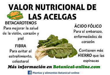 valor nutricional de las acelgas