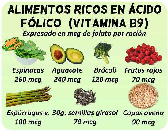 alimentos ricos en acido folico con mucha vitamina b9 embarazo corazon