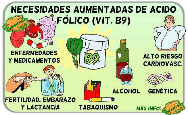 necesidades aumentadas de acido folico vitamina b9