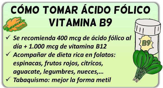 como tomar acido folico vitamina b9 suplementos 