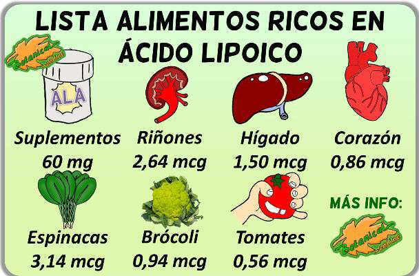 alimentos ricos en acido alfa lipoico dieta