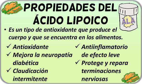 propiedades medicinales y beneficios suplemento acido alfa lipoico