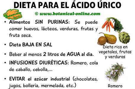 dieta acido urico