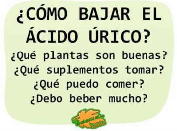 acido urico remedios naturales infusiones plantas como bajar o reducirlo