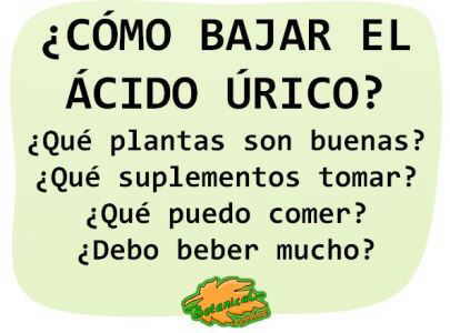 Que comer para bajar el acido urico