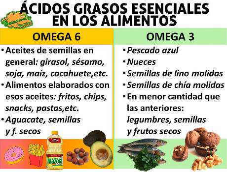 Alimentos ricos en ácidos grasos esenciales