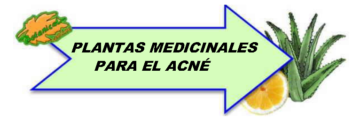 Plantas medicinales para el acné