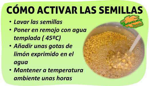 activar semillas, antinutrientes eliminar 