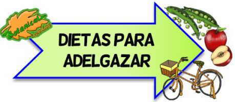 dietas para adelgazar