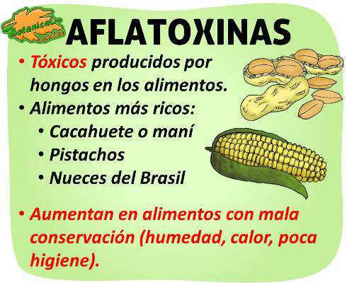 propiedades de las aflatoxinas