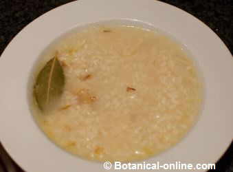 sopa de arroz