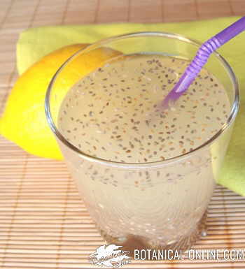 agua fresca de chia con limon