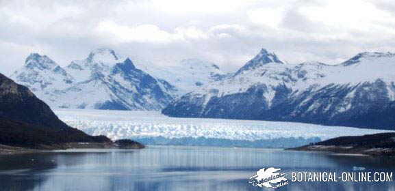 glariar perito moreno