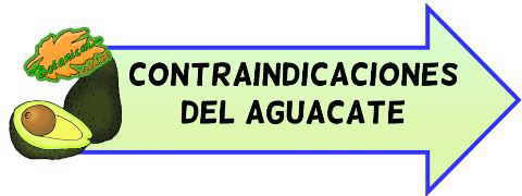 contraindicaciones del aguacate